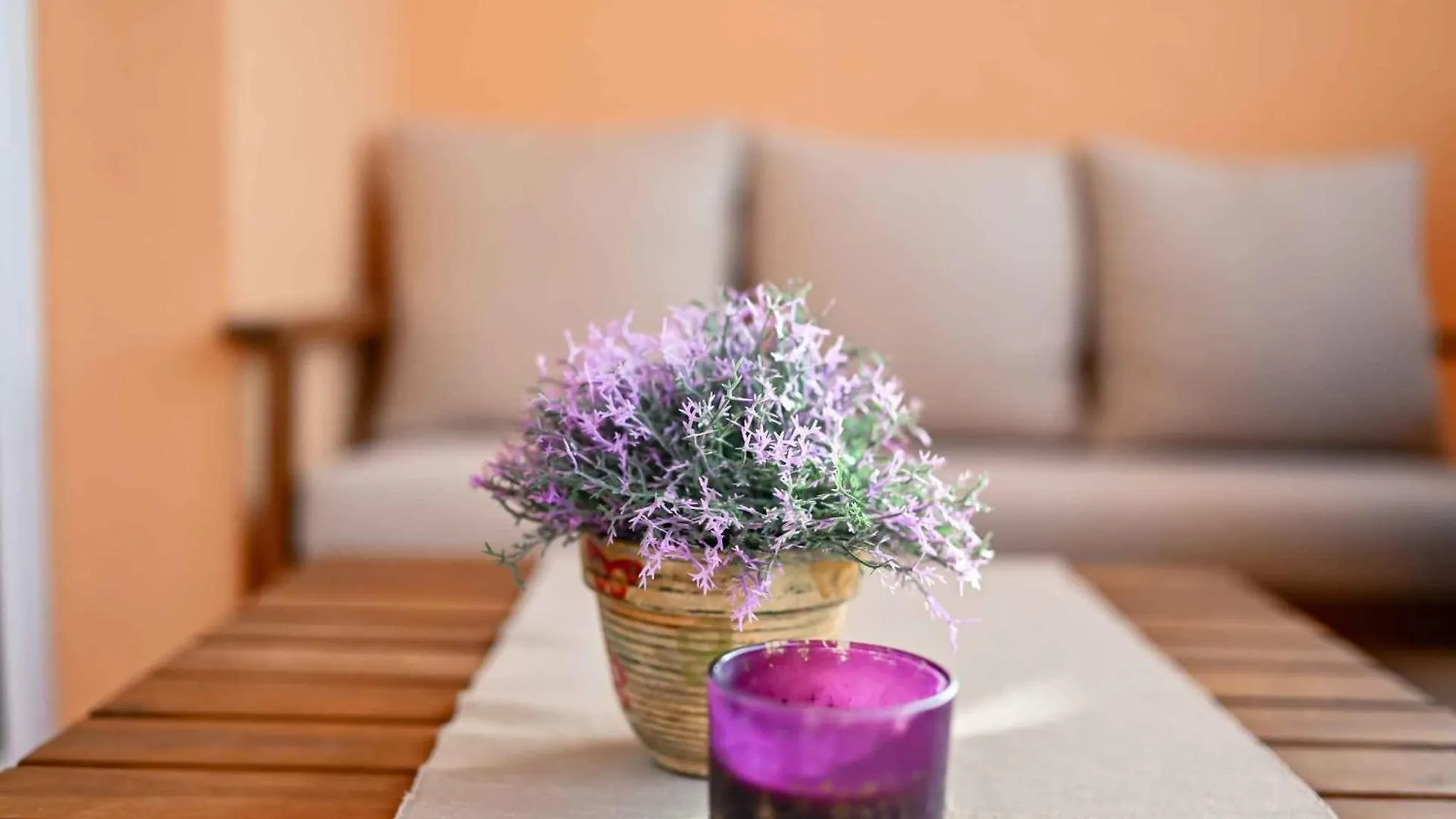 Apartment In Biograd Na Moru 50616